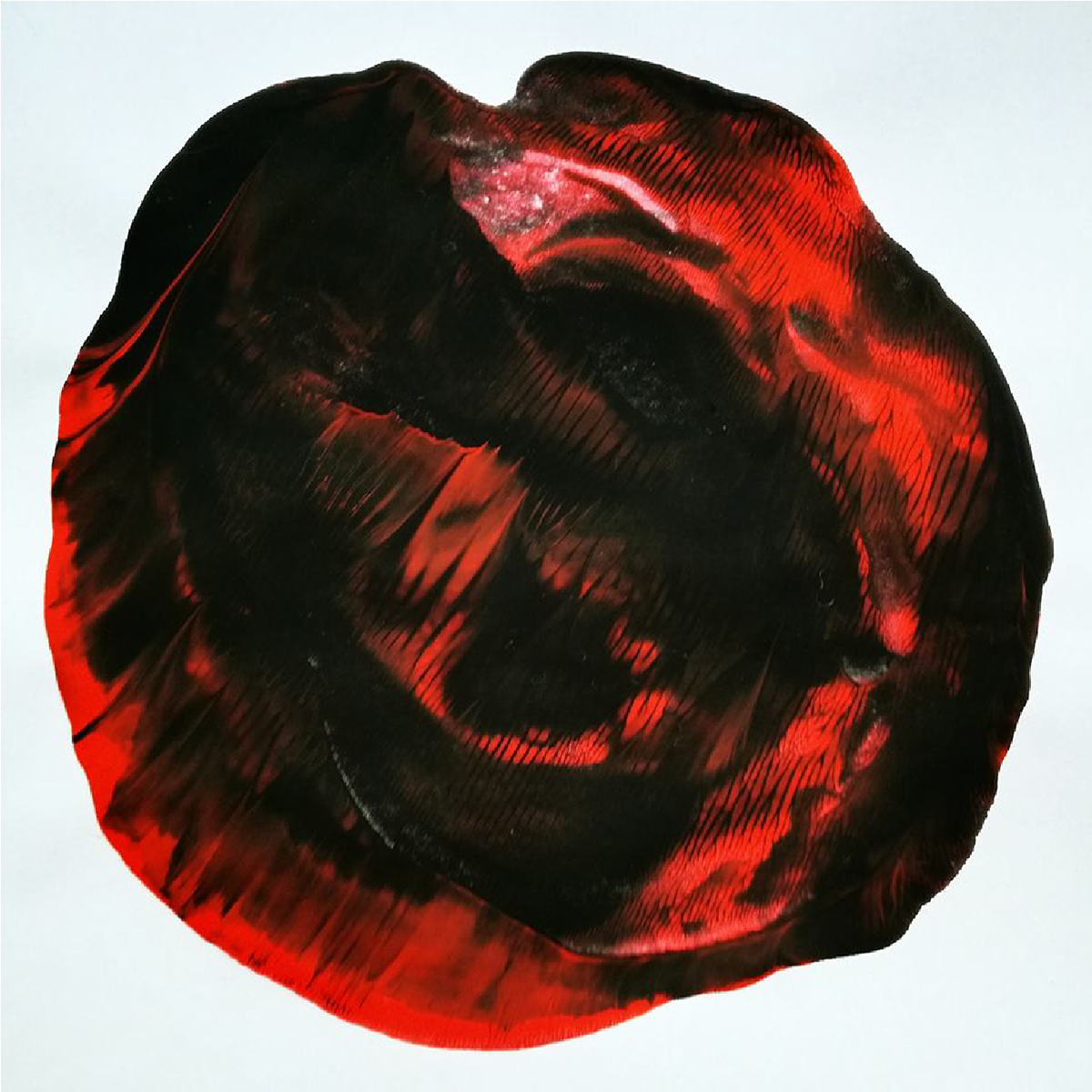 Copertina del libro Celeste